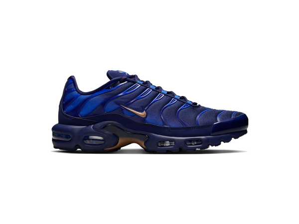 Nike Air Max Plus French Football Federation