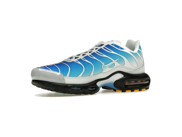Nike Air Max Plus One Block Down Light Photo Blue